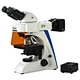 LED Fluorescence Binocular Microscope